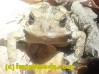 /home//u458753944/public_html/sourcegallery////McKaig Nature Center/2024-09-23/P9231582.JPG